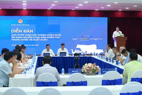 Tìm giải pháp giảm giá thành chăn nuôi, bảo đảm nguồn cung thịt cho 100 triệu dân