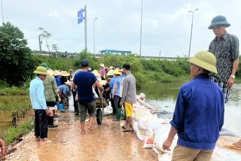 Xã Nội Bài: lũ sông Cà Lồ vượt báo động 3, hàng trăm người dân ra sức hộ đê