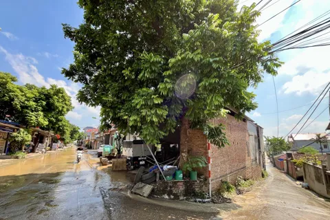 Hà Nội: nước lũ tràn đê sông Cầu