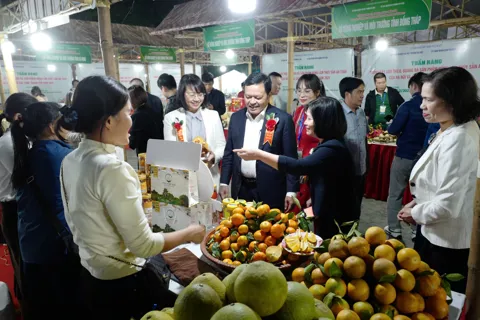 Hà Nội: hơn 1.300 đặc sản vùng miền quy tụ tại Vườn hoa Kim Liên