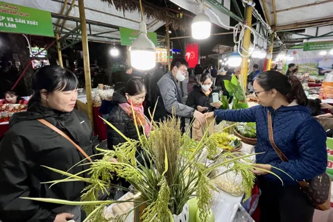 Hà Nội: nhân rộng những “Phiên chợ xanh”, mang nông sản sạch đến với mọi nhà