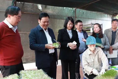 Hà Nội: siết chặt an toàn thực phẩm dịp Tết Bính Ngọ