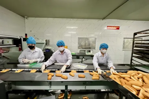 Hà Nội: kiểm tra đột xuất công ty sản xuất bánh kẹo Bảo Ngọc