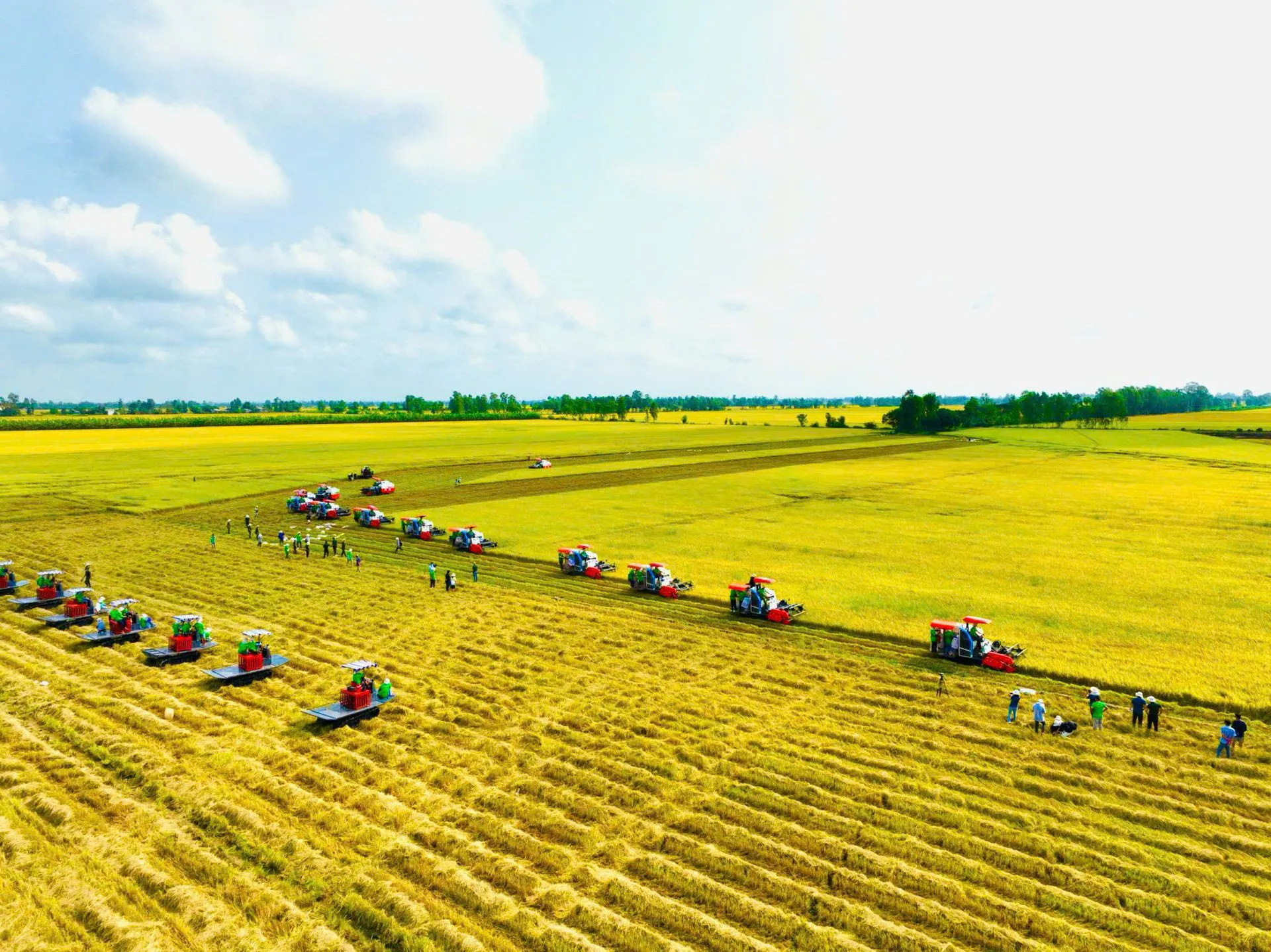 Hiện thực hoá mục tiêu “nông nghiệp xanh, phát thải thấp”