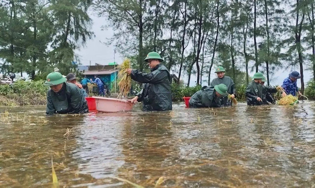 Hình ảnh 1