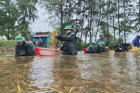 Sớm ổn định cuộc sống người dân sau bão số 1