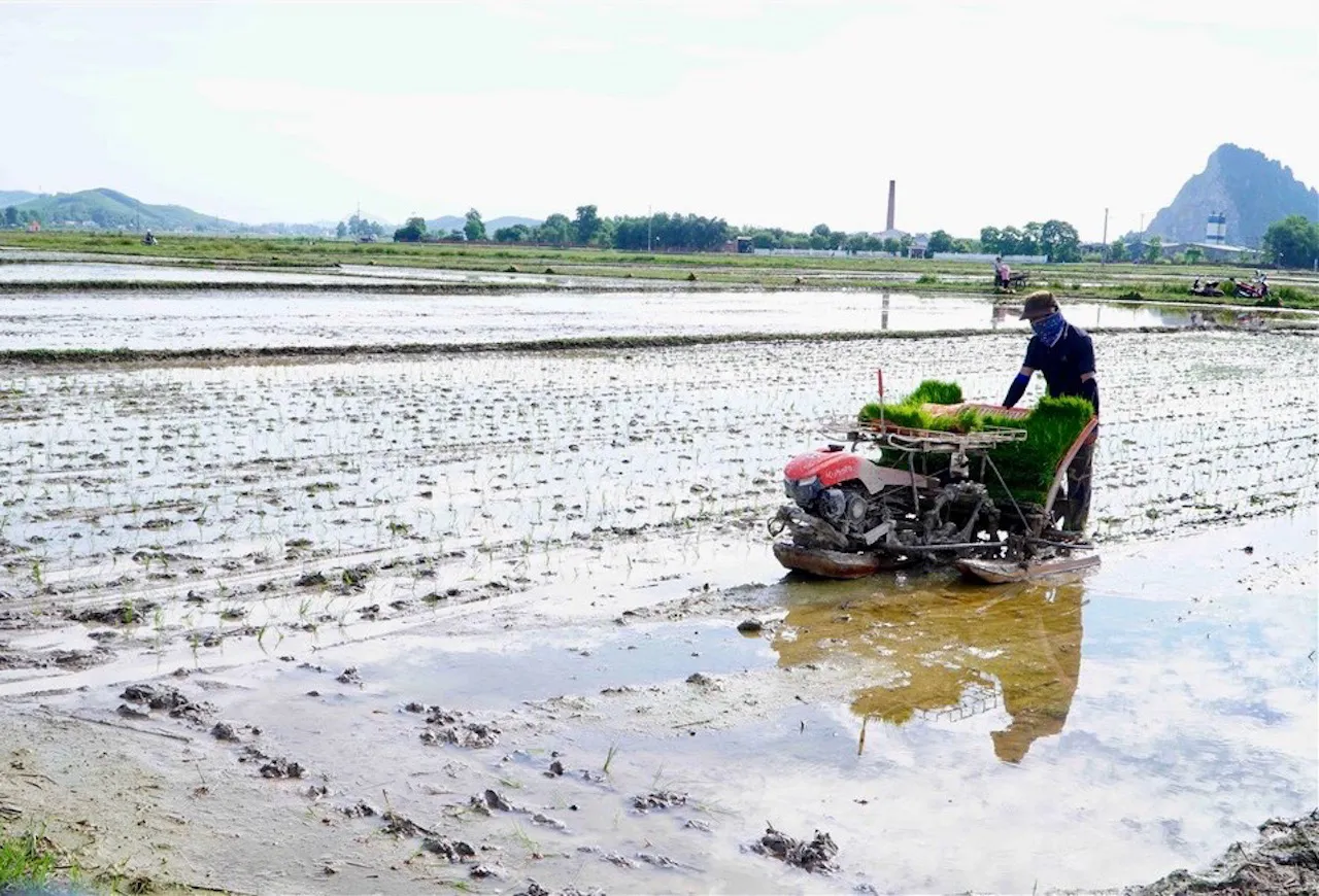 Hạn hán đe doạ sản xuất nông nghiệp tại Trung Bộ