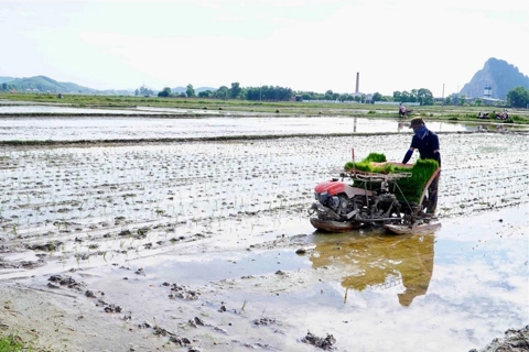 Hạn hán đe doạ sản xuất nông nghiệp tại Trung Bộ
