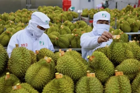 Thúc đẩy hợp tác nông sản Việt - Trung