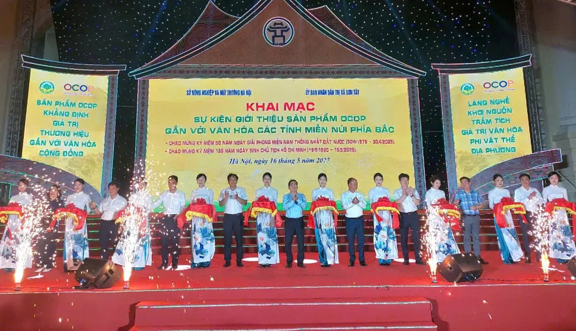 Hình ảnh 1