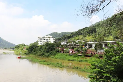 Hà Nội yêu cầu hoàn thành rà soát hiện trạng rừng trong tháng 12/2025