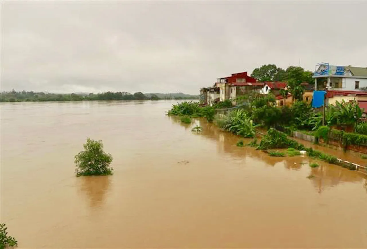 Hình ảnh 1