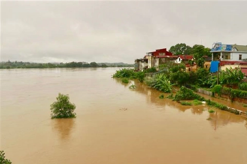 Lũ sông Thao, sông Lô có thể lên cao đến 5m
