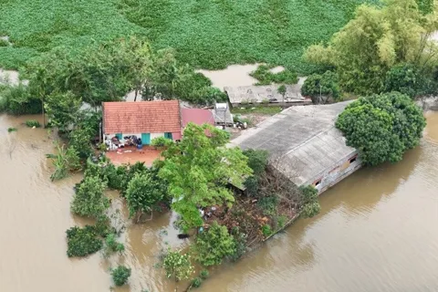 Báo động lũ trên sông Tích, hàng chục xã phường nguy cơ ngập lụt