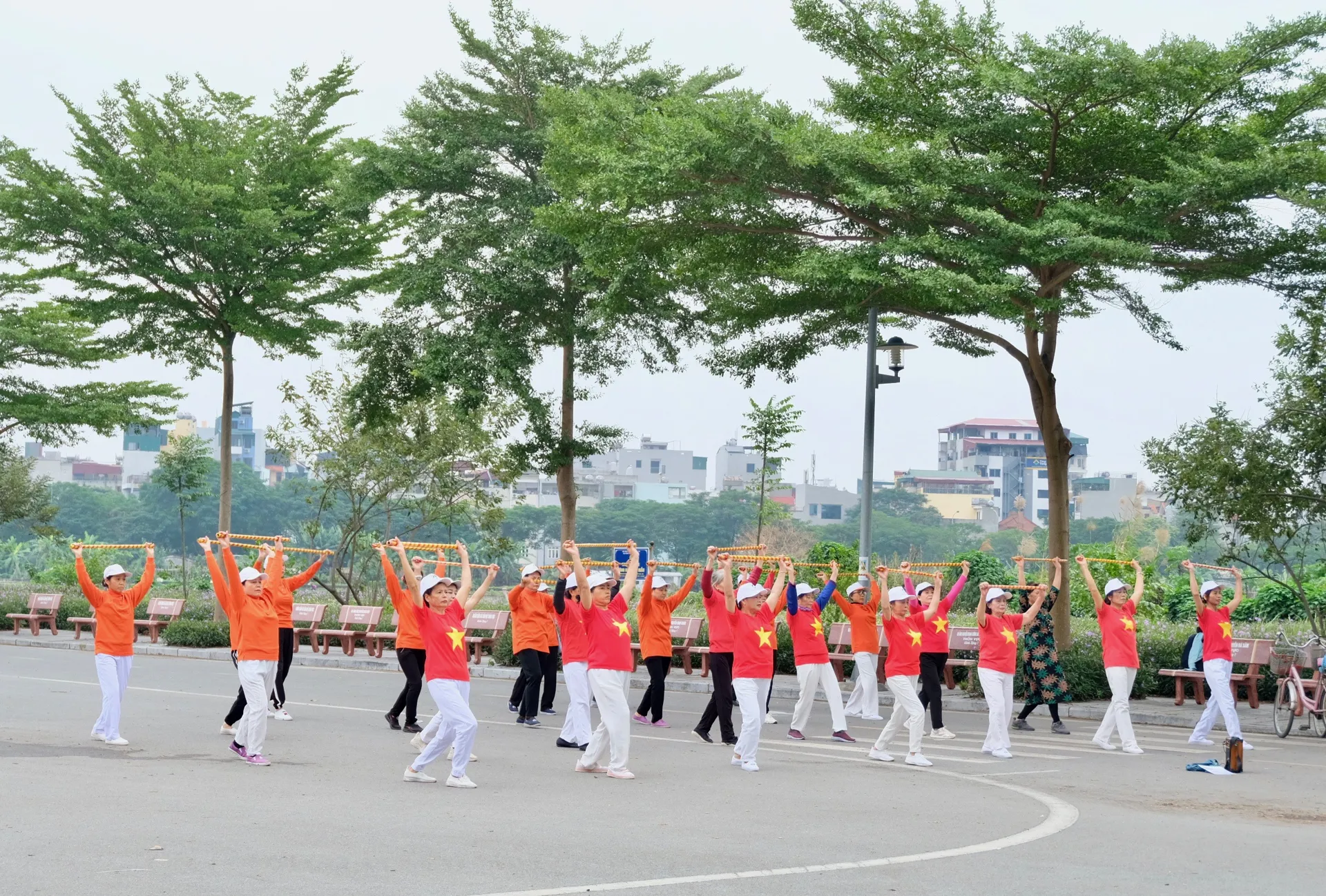 Hình ảnh 3