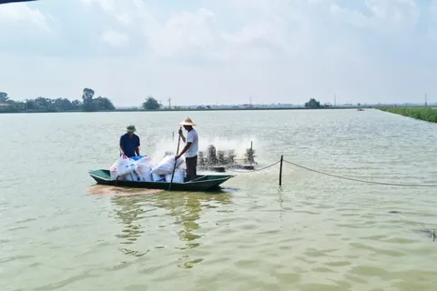 Hà Nội: hướng tới phát triển thuỷ sản bền vững