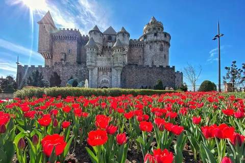 Du khách ngỡ ngàng trước trải nghiệm “du lịch Hà Lan” ngay tại Bà Nà dịp Tết Bính Ngọ 2026