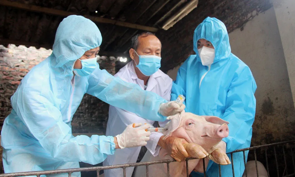 Hình ảnh 1