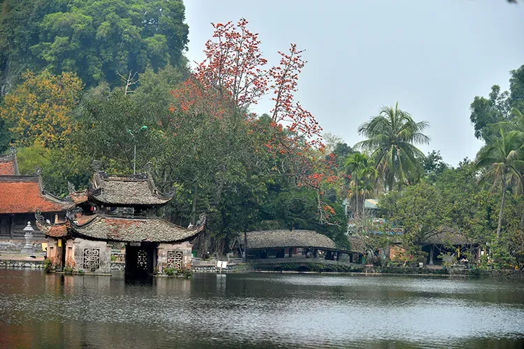 Hình ảnh 2