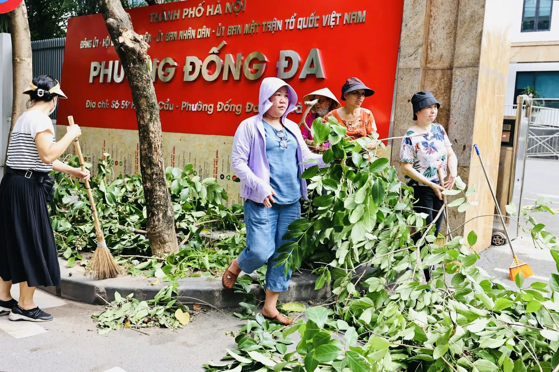 Hình ảnh 10