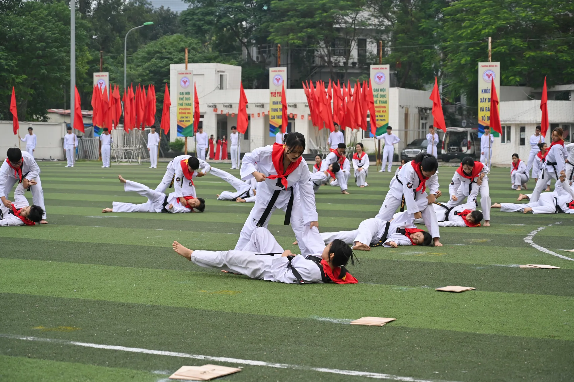 Hình ảnh 10