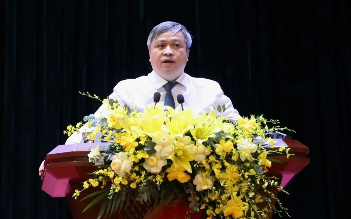 Hình ảnh 2