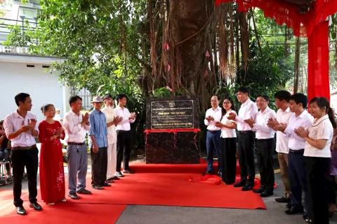 Hà Nội triển khai phong trào thi đua “Dân vận khéo” năm 2026
