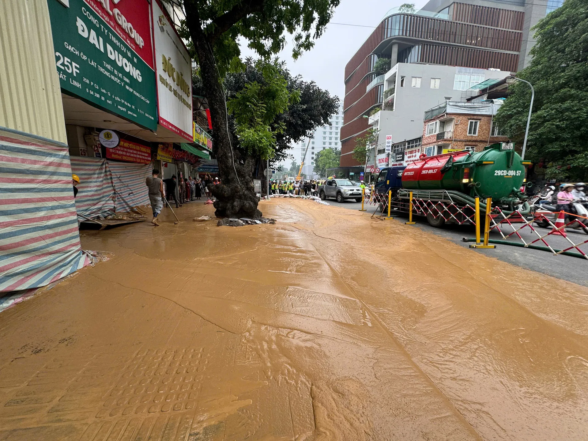 Hình ảnh 4