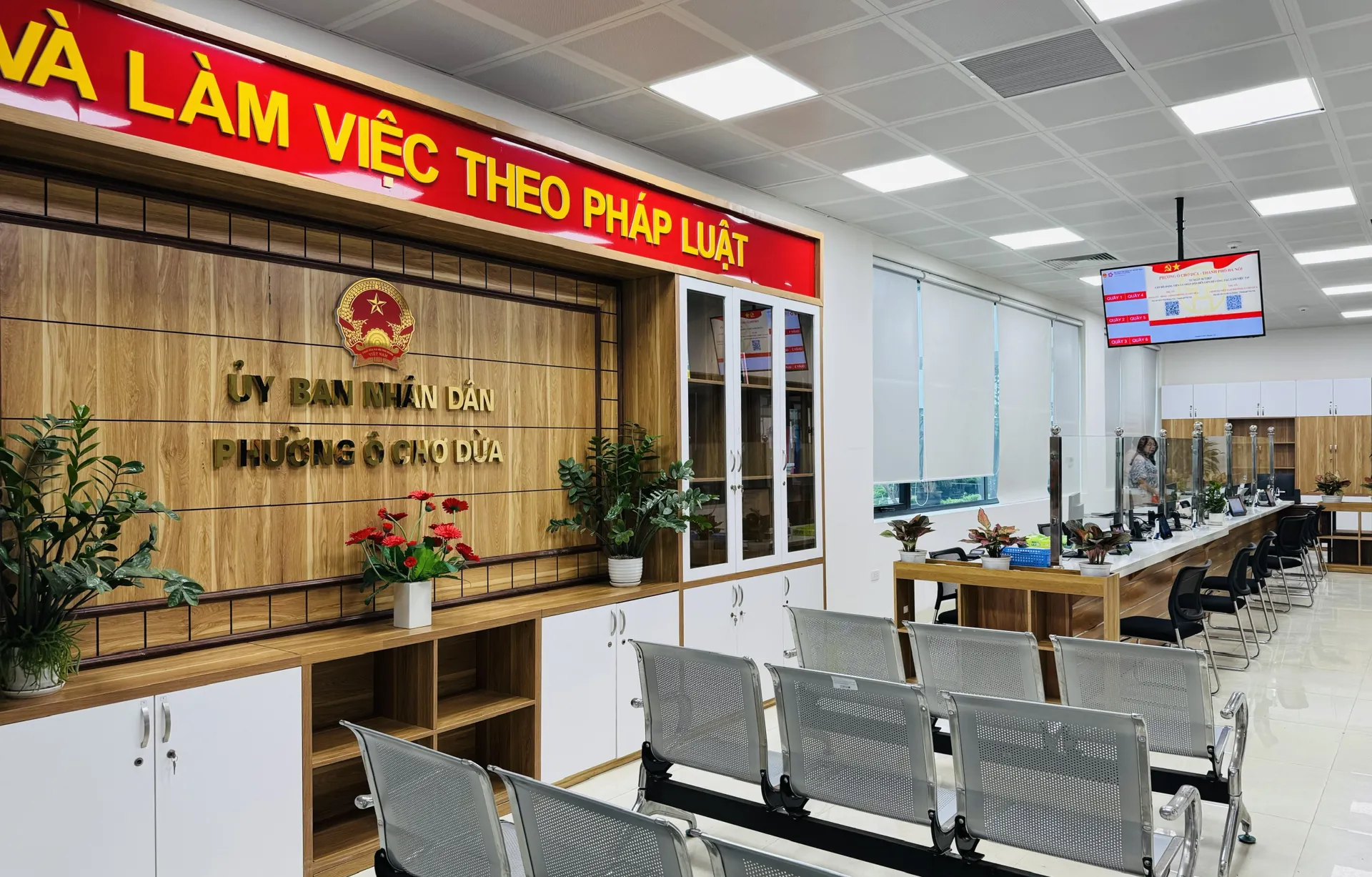 Hình ảnh 7