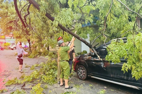 Phường Kim Liên chủ động triển khai các biện pháp ứng phó bão Wipha