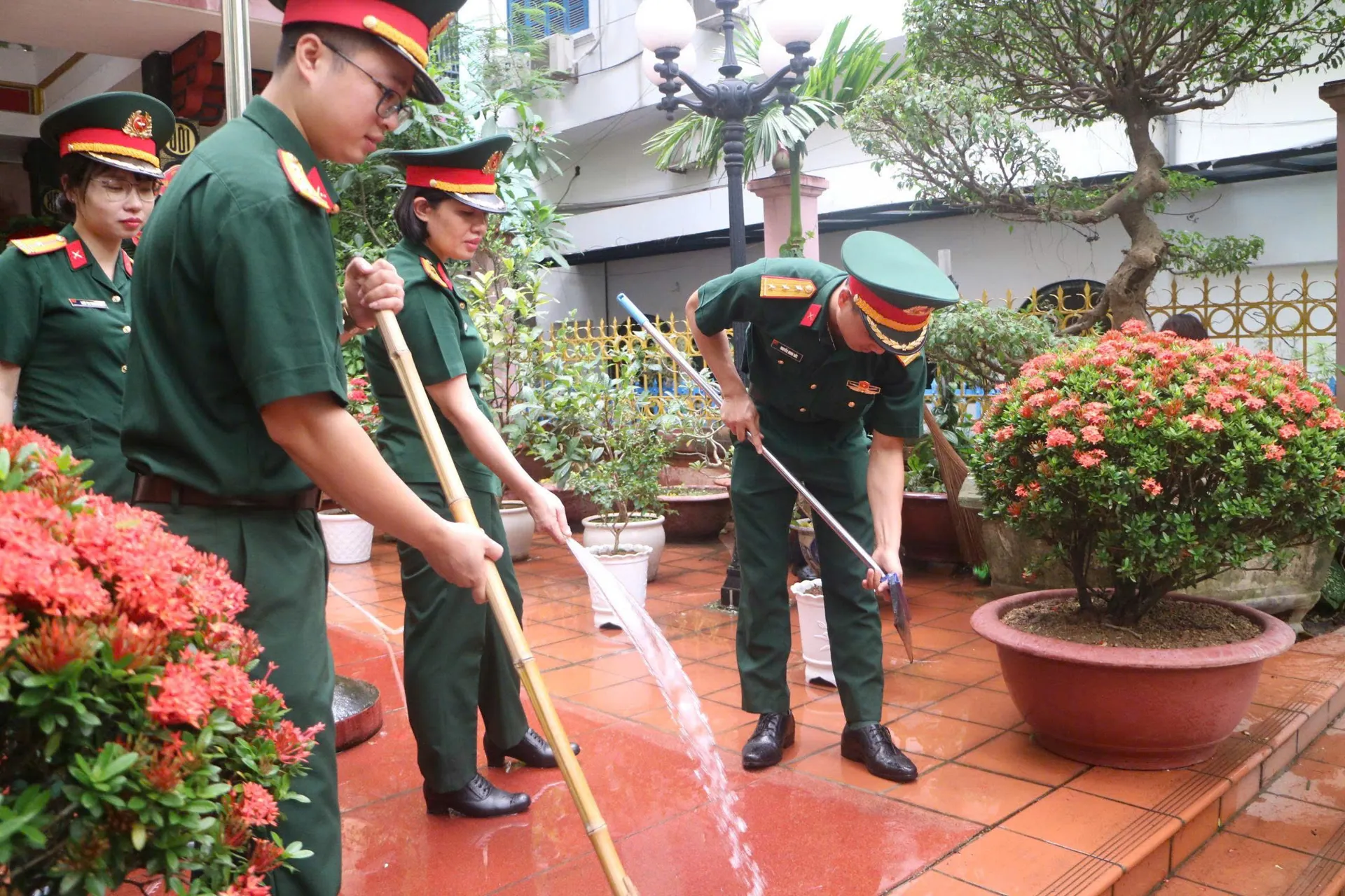Hình ảnh 5