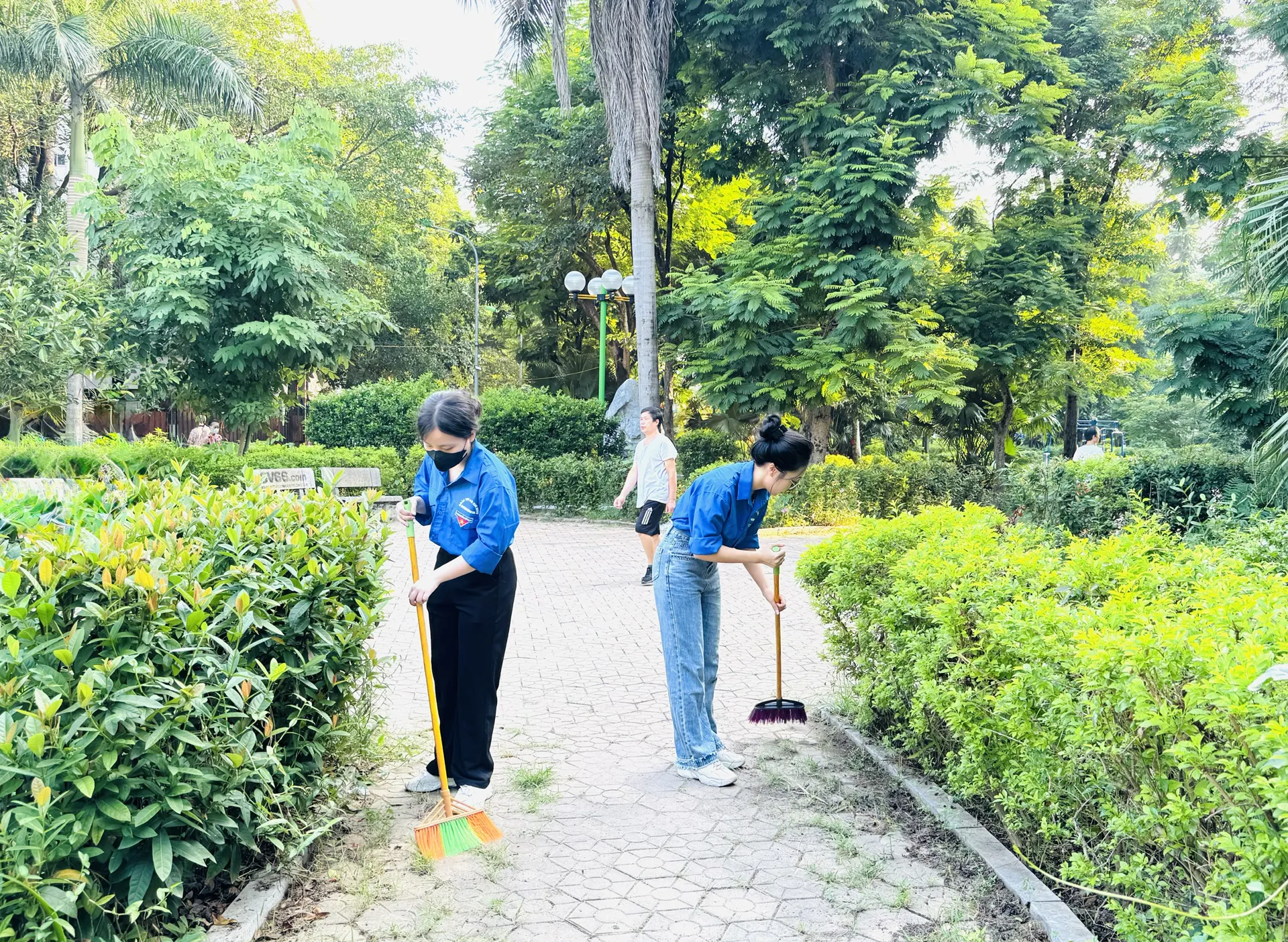 Hình ảnh 2