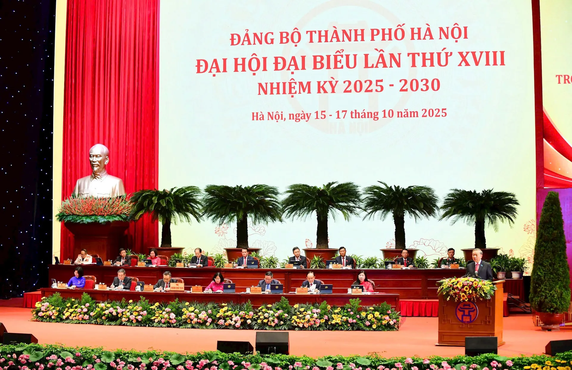 Hình ảnh 3