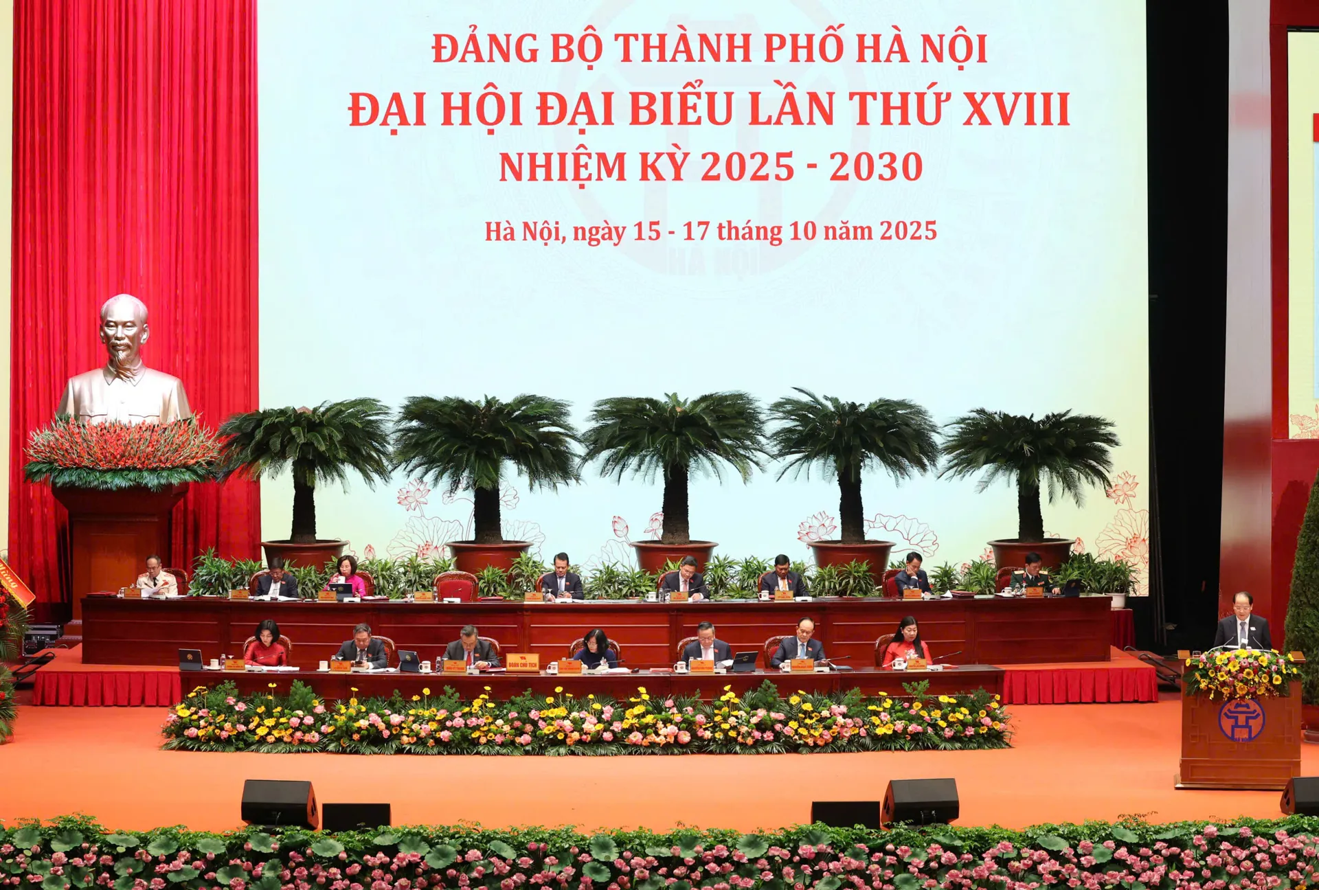 Hình ảnh 1