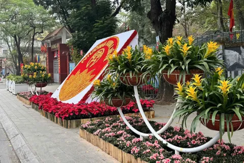 Phường Kim Liên sẵn sàng cho Tết trồng cây Xuân Bính Ngọ 2026