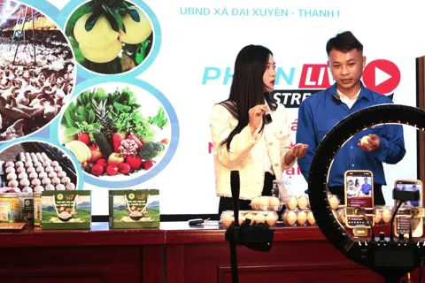 Livestream - “đòn bẩy số” thúc đẩy tiêu thụ nông sản và phát triển kinh tế số tại xã Đại Xuyên
