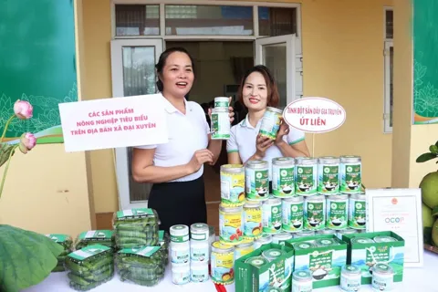 Xã Đại Xuyên - Vùng đất bãi màu mỡ ven sông Hồng