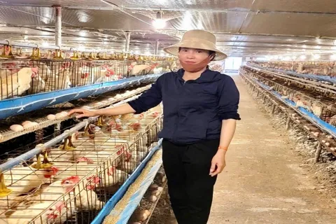 Nhiều gia đình ở xã Đại Xuyên thoát nghèo nhờ mô hình chăn nuôi