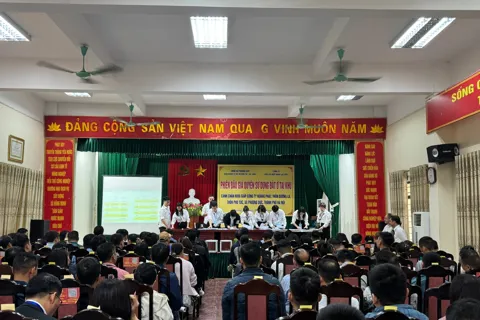 Phượng Dực đấu giá thành công 27 thửa đất, giá trúng cao nhất gần 70 triệu đồng/m²