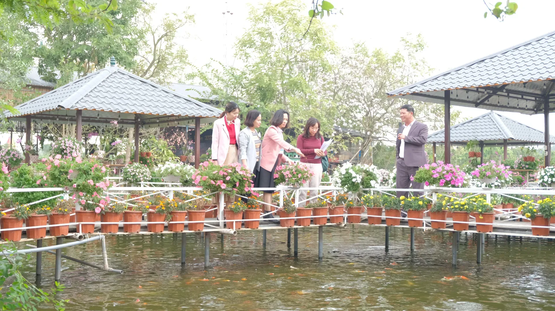 Hình ảnh 2