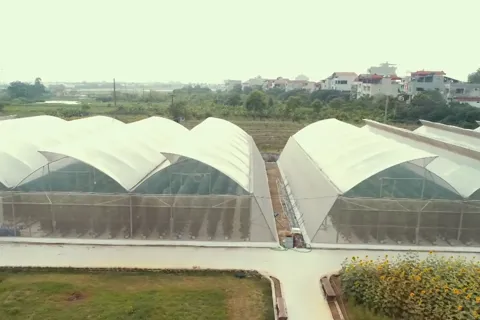 Xã Thường Tín xây dựng thương hiệu nông sản chất lượng cao
