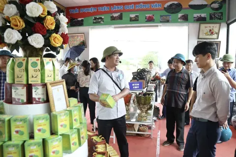 Xã Hồng Vân hướng tới phát triển xanh và bền vững gắn với bảo tồn di sản văn hóa