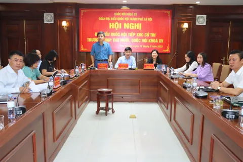 Cử tri 16 xã khu vực phía Nam Thành phố Hà Nội đề nghị thành lập thêm phòng chuyên môn