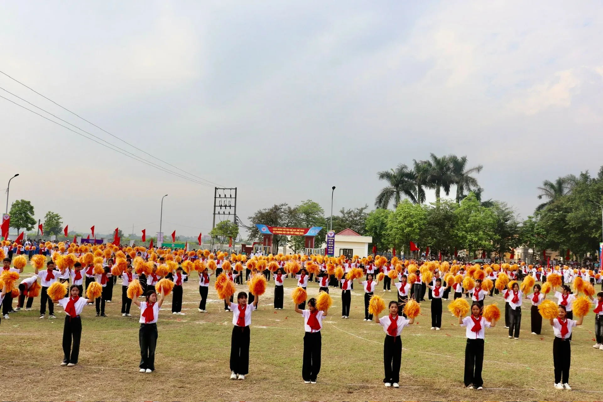 Hình ảnh 5