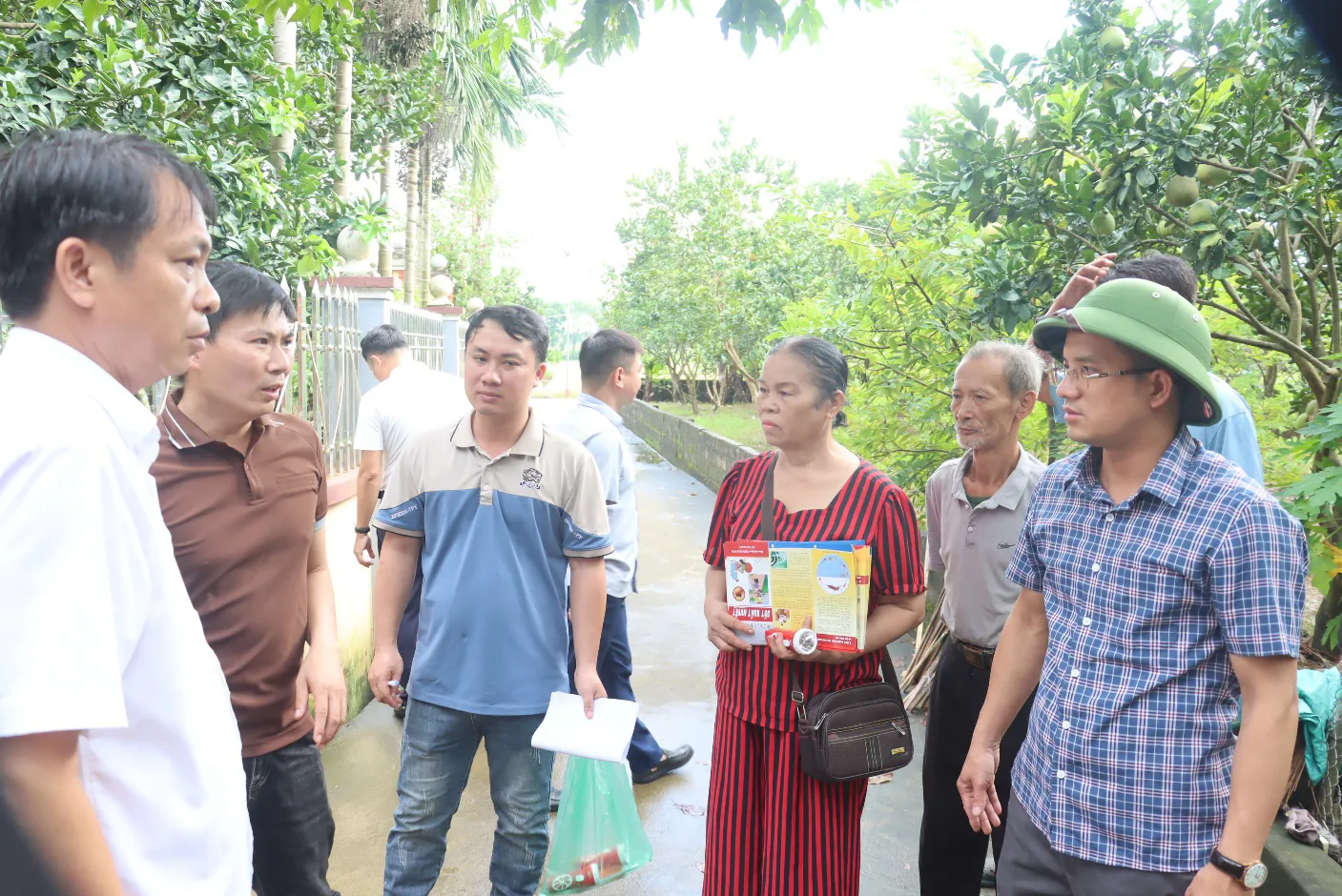 Hình ảnh 3