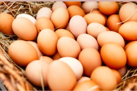 Trứng gà Khai Thái - nhãn hiệu tập thể chính thức được công nhận