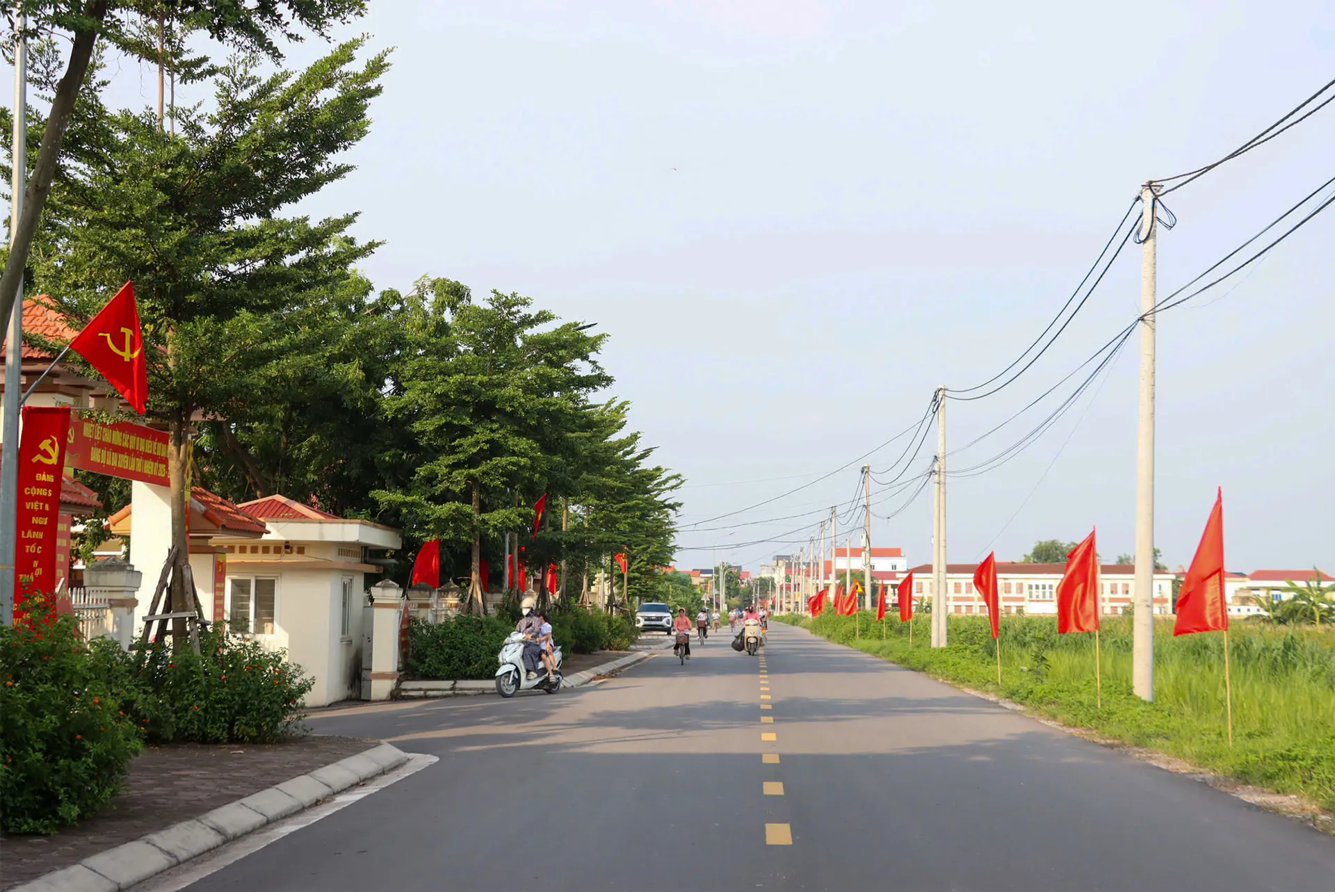 Hình ảnh 2
