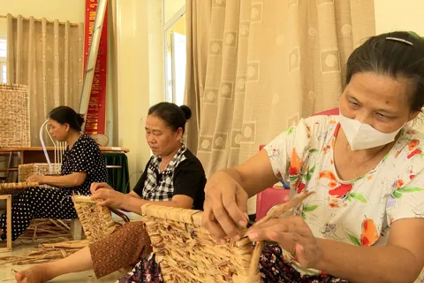 Đào tạo nghề, chìa khóa mở lối thoát nghèo bền vững cho người dân xã Phượng Dực