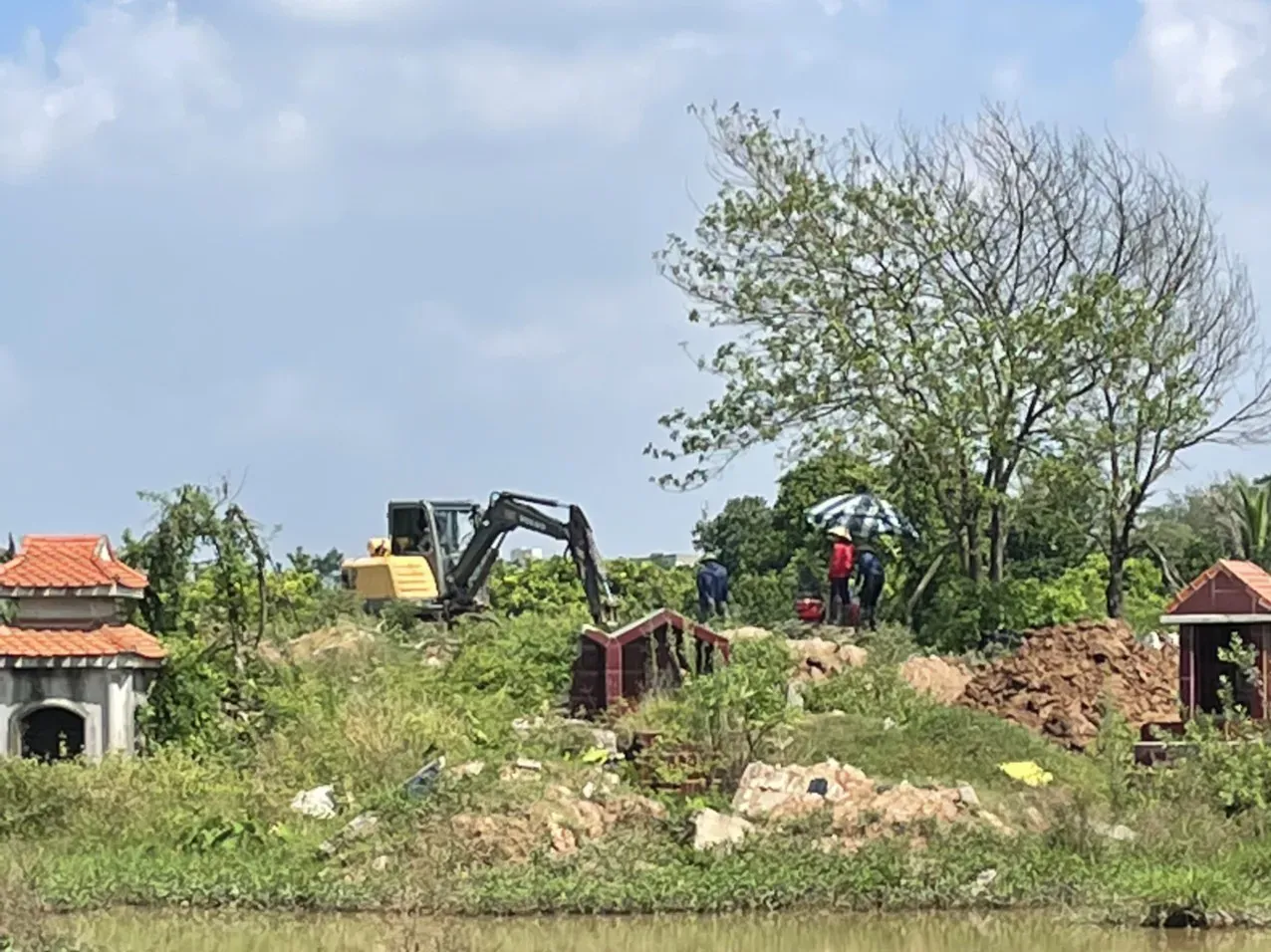 Hình ảnh 2