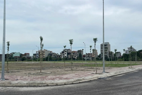 Hà Nội giao 13.662,6m2 đất cho huyện Phú Xuyên thực hiện dự án khu đấu giá QSD đất ở
